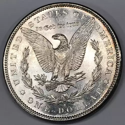 Morgan Silver Dollar (4)