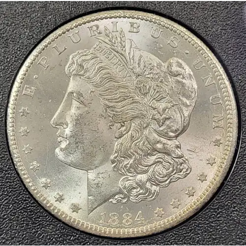 Morgan Silver Dollar (2)