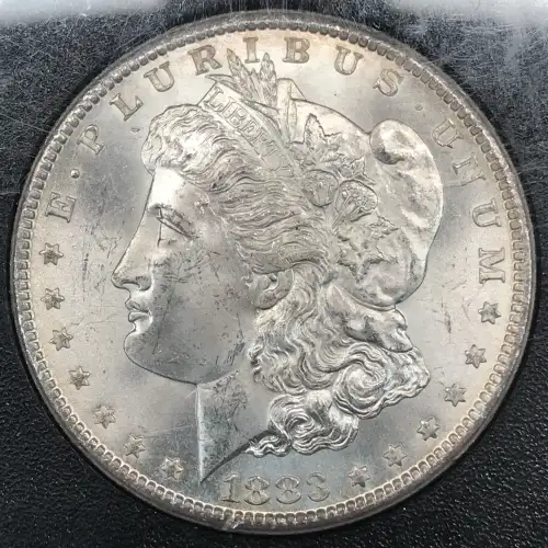 Morgan Silver Dollar (2)