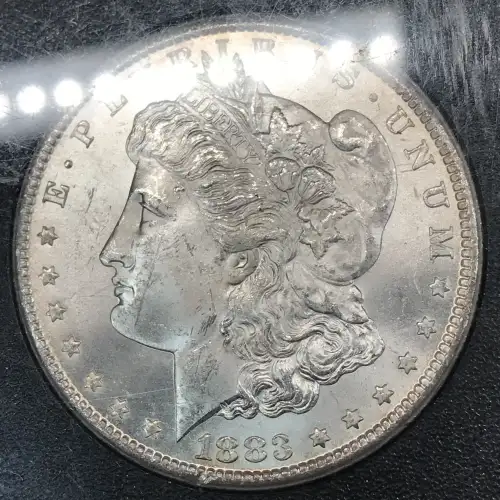 Morgan Silver Dollar (4)