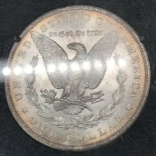 Morgan Silver Dollar (5)