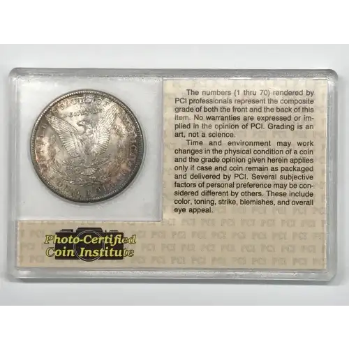 Morgan Silver Dollar (2)