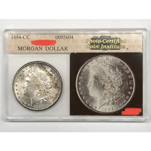 Morgan Silver Dollar (2)