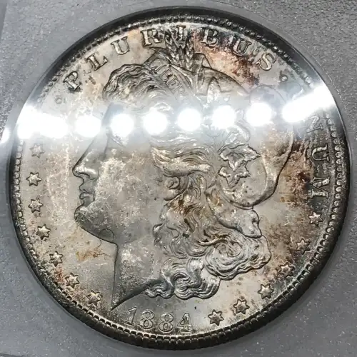 Morgan Silver Dollar (5)