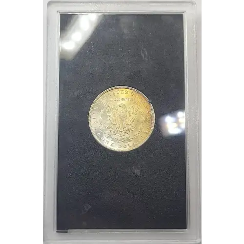 Morgan Silver Dollar (4)