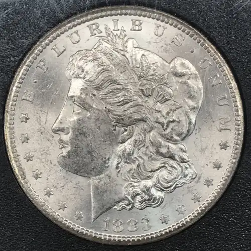 Morgan Silver Dollar (2)