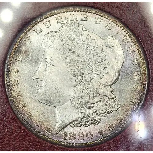 Morgan Silver Dollar (2)