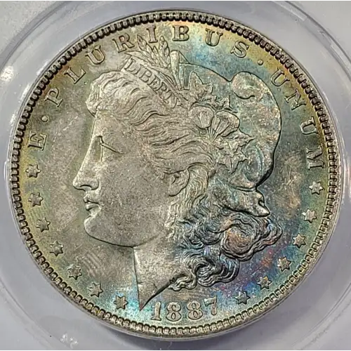 Morgan Silver Dollar (2)