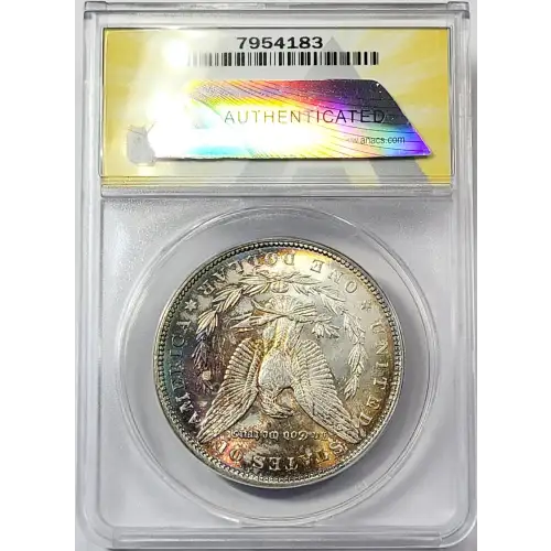 Morgan Silver Dollar (4)