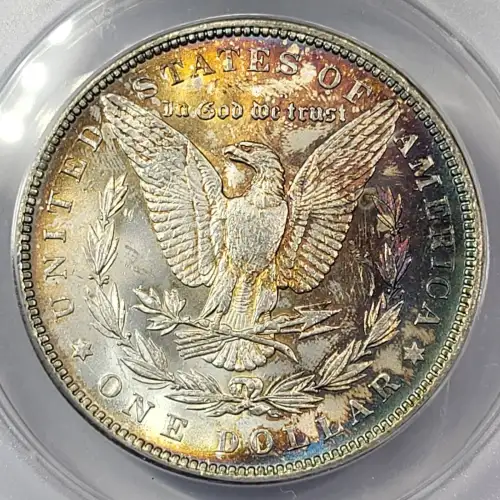 Morgan Silver Dollar (5)