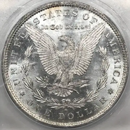Morgan Silver Dollar (4)