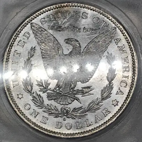 Morgan Silver Dollar (5)