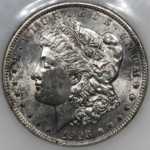 Morgan Silver Dollar (2)