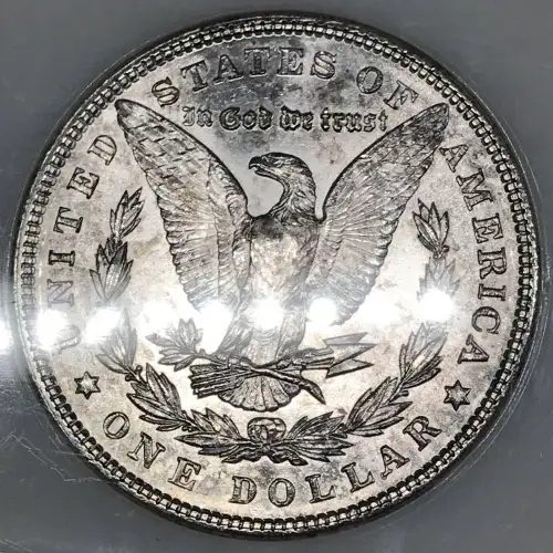 Morgan Silver Dollar (5)
