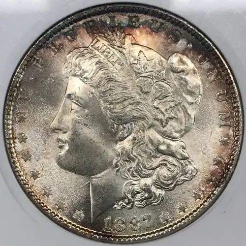 Morgan Silver Dollar (2)