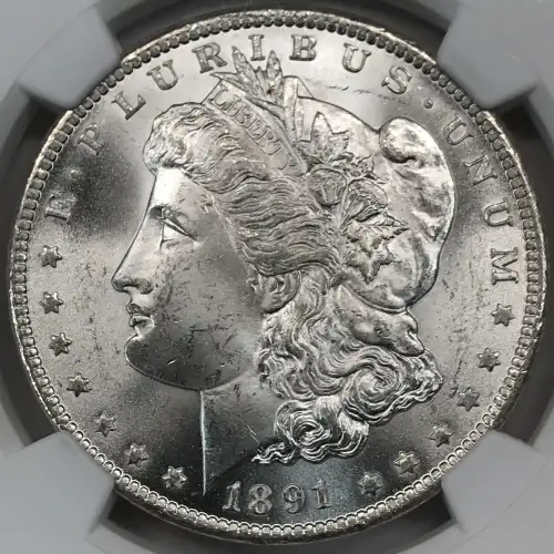 Morgan Silver Dollar