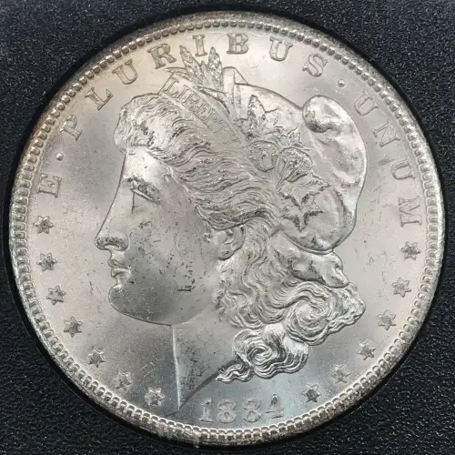 Morgan Silver Dollar (2)
