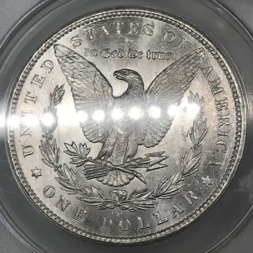 Morgan Silver Dollar (5)
