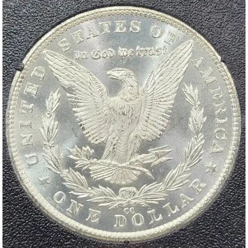 Morgan Silver Dollar (5)