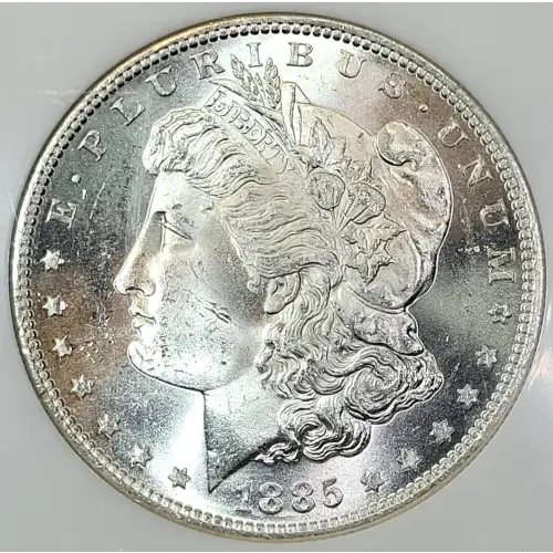 Morgan Silver Dollar (2)