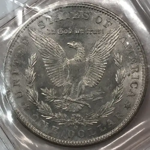 Morgan Silver Dollar (2)