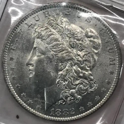 Morgan Silver Dollar (4)