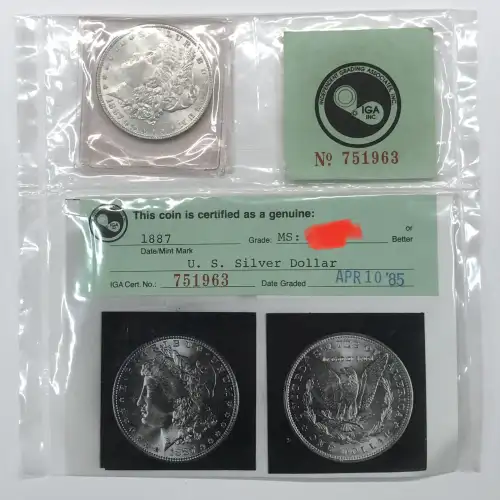 Morgan Silver Dollar (2)