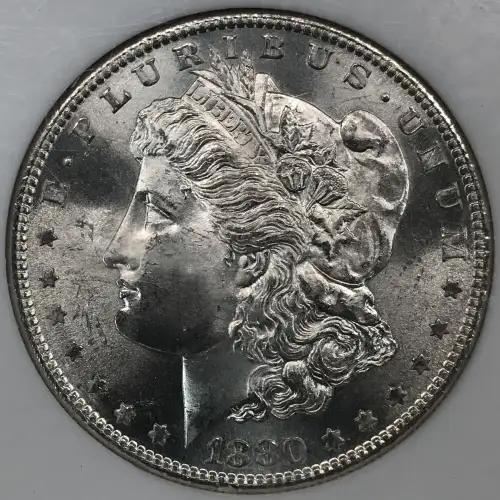 Morgan Silver Dollar (5)
