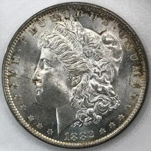 Morgan Silver Dollar (4)