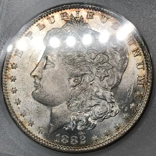 Morgan Silver Dollar (5)
