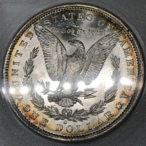 Morgan Silver Dollar (6)