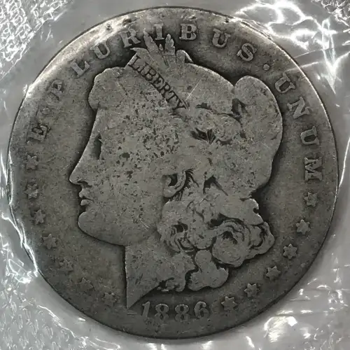 Morgan Silver Dollar (2)