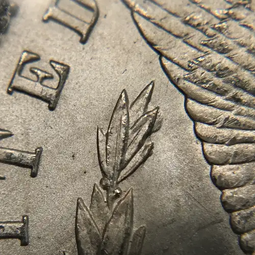 Morgan Silver Dollar (6)