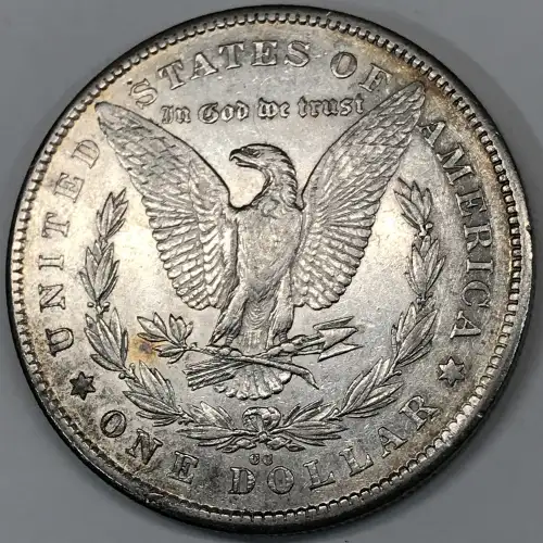 Morgan Silver Dollar (4)