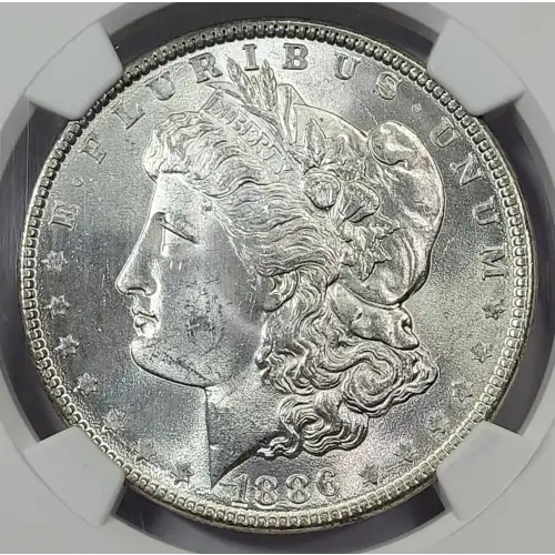 Morgan Silver Dollar (2)