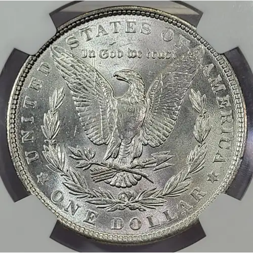 Morgan Silver Dollar (5)