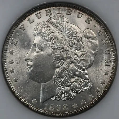 Morgan Silver Dollar (2)