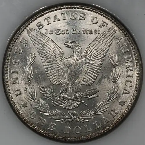 Morgan Silver Dollar (5)