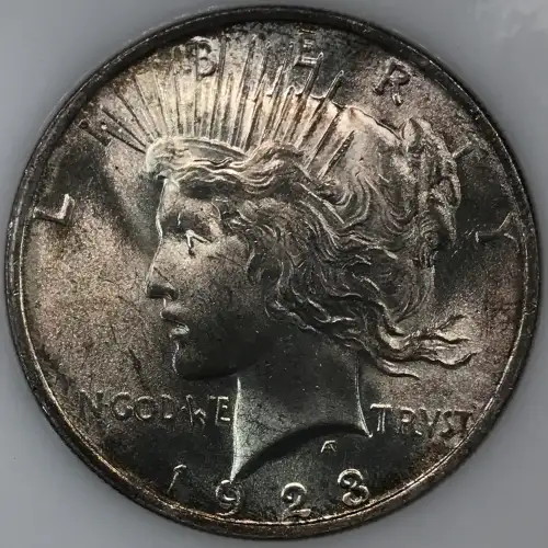 Morgan Silver Dollar (6)
