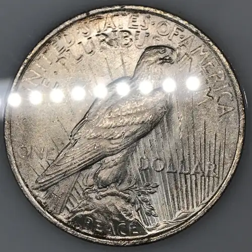Morgan Silver Dollar (8)