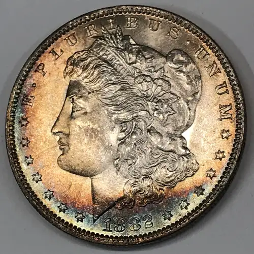 Morgan Silver Dollar (3)