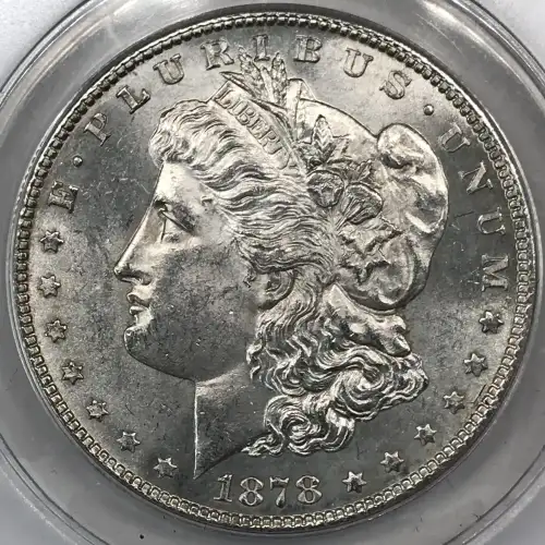 Morgan Silver Dollar (4)