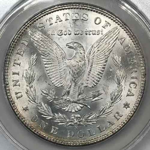 Morgan Silver Dollar (4)