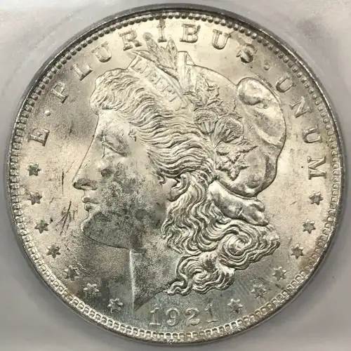 Morgan Silver Dollar (2)