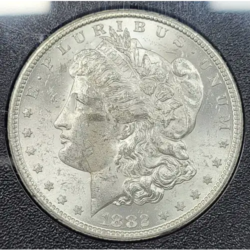 Morgan Silver Dollar (2)