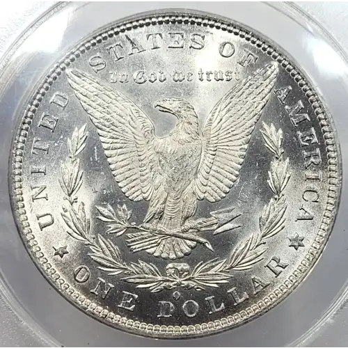 Morgan Silver Dollar (5)