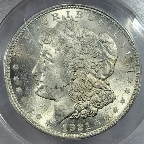 Morgan Silver Dollar (2)