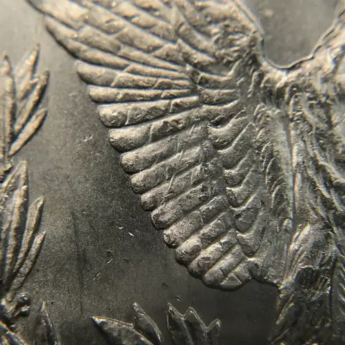 Morgan Silver Dollar (6)