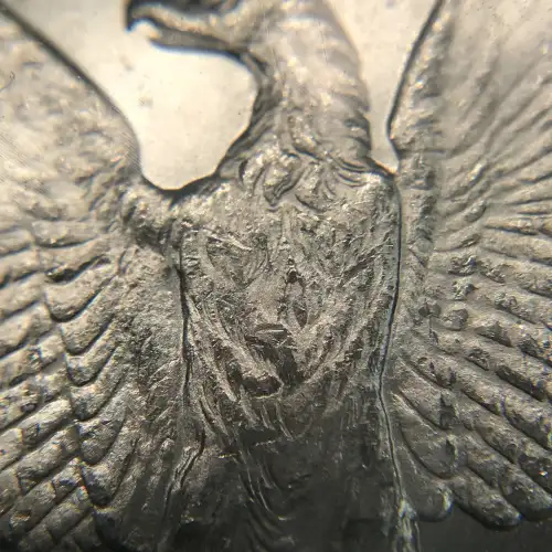 Morgan Silver Dollar (7)