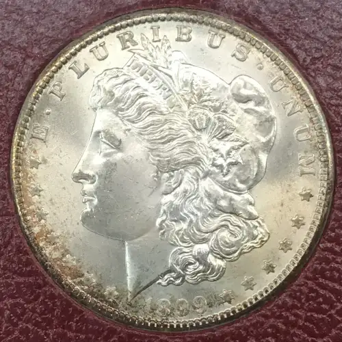Morgan Silver Dollar (2)